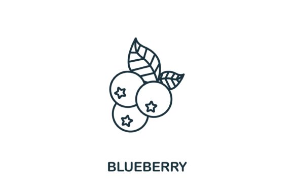 Blueberry Icon: A Sweet Addition to Your Design Toolkit