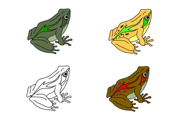 FROG Collection Image: Versatile Art for Creators